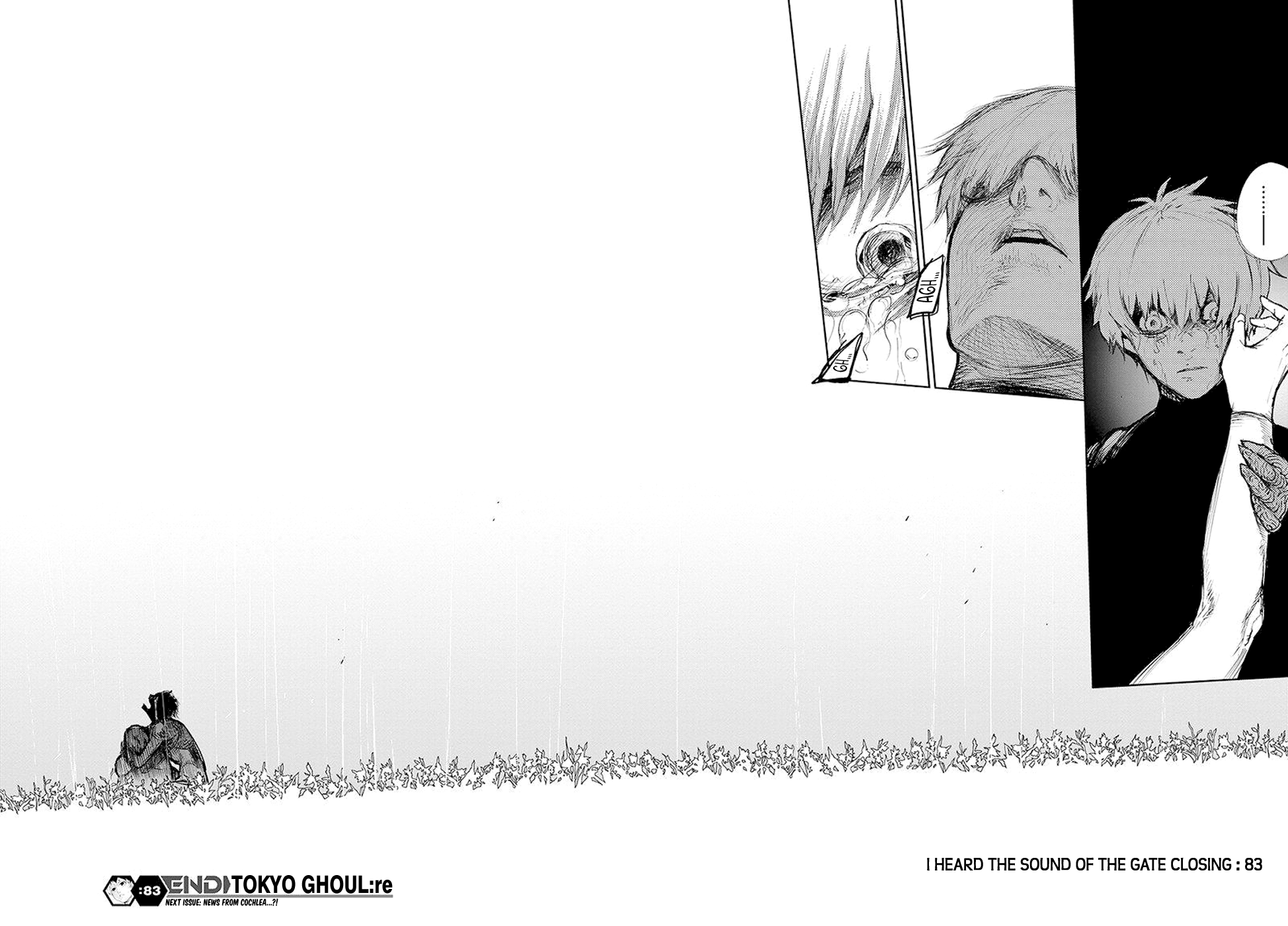 Tokyo Ghoul:re Chapter 83 19